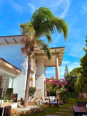 Flora Boheme Отели в г. Boyalik Mahallesi