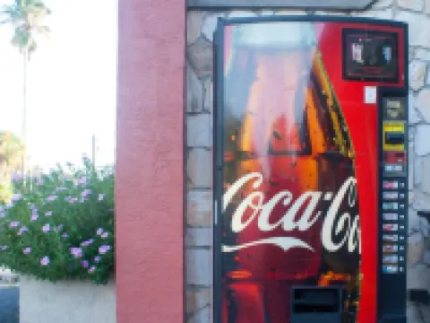 ポリネシアン イン セント・クラウドのホテル