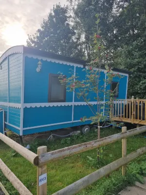 Glamping Hut - Riverview 3 - Yüzme Havuzu