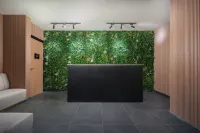 Joudyan Red Sea Mall Jeddah by Elaf - spa