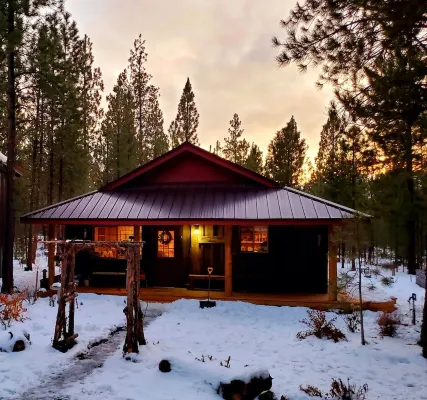 Pinecone Cabin, Couples Retreat, Hot Tub, Pet Friendly, Private!