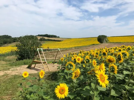 Ancien Corps de Ferme au Milieu des Tournesols