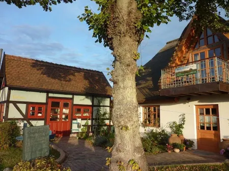 Lovingly furnished artist's apartment with a view of the bay