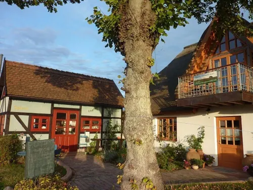 Lovingly furnished artist's apartment with a view of the bay