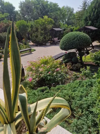 Пансионат «Анапа Лазурная»