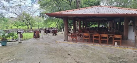 Explore Paradise-Linda Vista cottage