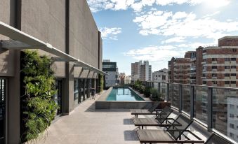 Aloe Vila Nova Conceição