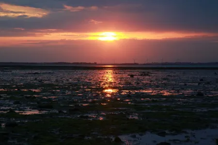 Hello Whitstable - Private Cabin at The Beach Отели в г. Уайтстейбл