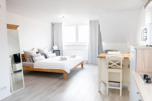 Get up with SEEBLICK style apartments mountain and lake view and terrace in Lindau
