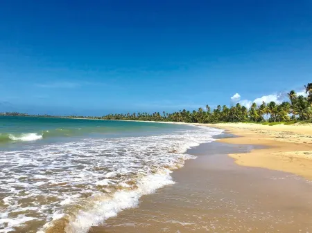 Luxury 2 Br / 3 BA Villa in Bahia Beach Resort