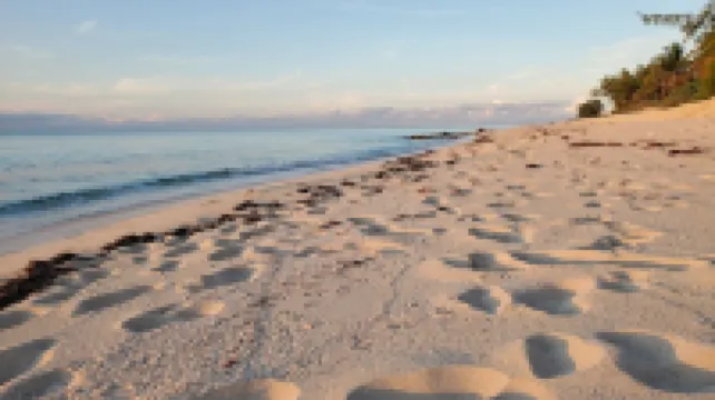 Luxury Ocean Villa 3 Bed / 3 Bath in Bimini Bay