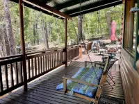 Rustic 2 Bedroom Cabin 1 in a Peaceful Forest!