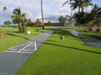 Beautiful Ocean View Maui Sunset Condo - B213