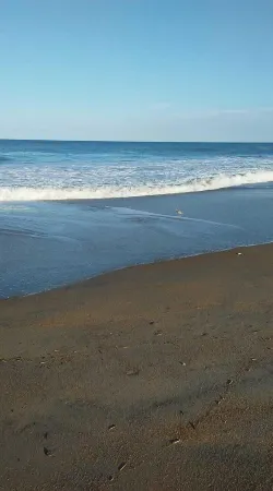 Bella Vista - Waterfront Getaway, Kayaks, fishing & Close to Topsail Beaches!