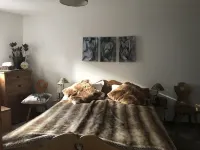 On the outskirts of Megève, 2 1/2 rooms 45M2, sleeps 4 with garden/terrace