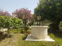 Apartment Mirto 300 meters from the beach of Santa Maria del Focallo Sito Archeologico Del Parco Forza附近的飯店
