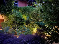 Quiet house on the hills of Lake Maggiore.  CIN IT103074C2HJNGCMF4