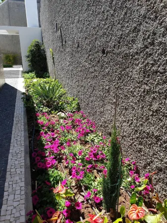 Villa Brava Atlântico Отели рядом с достопримечательностью «Igreja de Sao Bento»