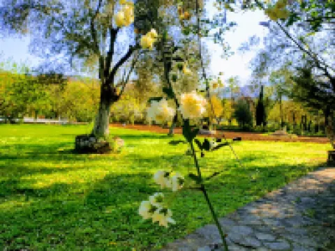 Doga Apartments Hotels in 