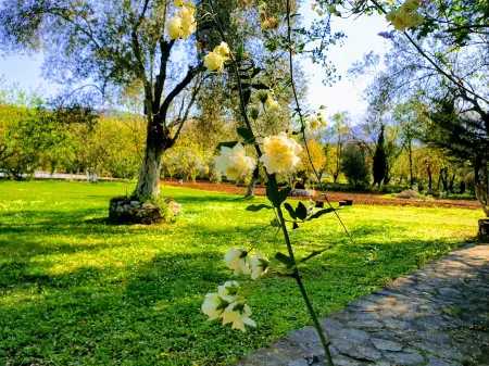 Doga Apartments Отели в г. Kayakoy