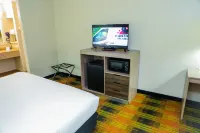 텍산 인 카리조 스프링스