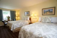 克林頓汽車旅館 - Wi-Fi