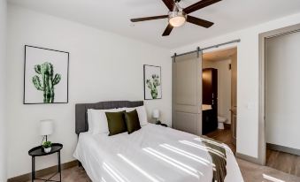 CozySuites at Town Lake