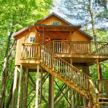Pine Cove Treehouses & Cabins
