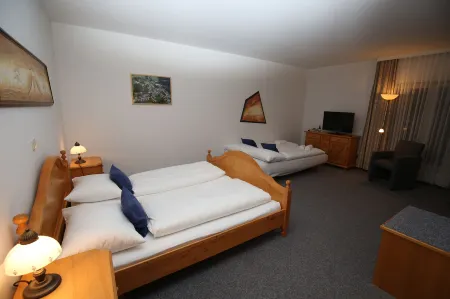 Grandhotel Niederösterreichischer Hof Отели рядом с достопримечательностью «Арена Нова»