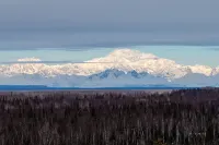 Denali Overlook Inn - واي فاي