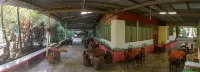 Villa Hermosa de Tambopata Casa Hospedaje & Hostel - breakfast