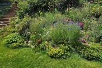 Near Red Rocks, Hiking & Skiing: Kittredge Condo! Hotels in Evergreen