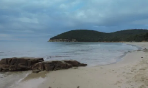 Agriturismo Colli di Travale