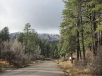 Heiden’s Hideaway.  Private Community. 30 Min to Durango/Vallecito