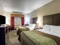 Comfort Inn & Suites Hotéis em Fruita