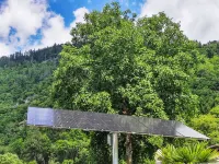 Rosa Blu Hotels in Piano