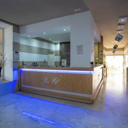 Vincci Saphir Palace & Spa