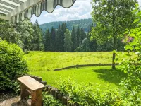 Black Forest Hideaway