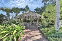 Disney Area Grnd Floor Park Free