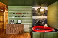 DisconnectToReconnect • Sauna • Stars • Dog-Friendly • 7 Mins to Pigeon Forge