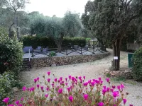 Pimpinnacolo 21 - 3Br P4