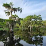 Wise Owl Retreat, a beautiful suite amongst towering oaks, on the River.