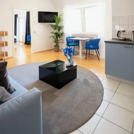 Blue whale, stylish apartment, living room, bedroom, bathroom, kitchen, central in Ulm