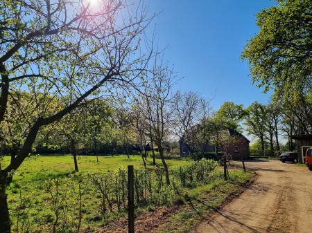 Die alte Waldkate - Cozy vacation home in a forest location