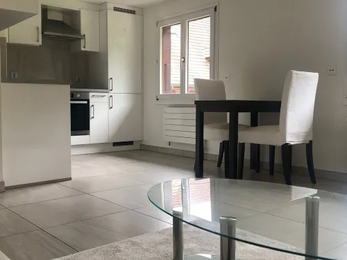 BEAUTIFUL DUPLEX APARTMENT IN THE COUNTRYSIDE 3KM FROM DELEMONT Hotels in Soyhieres