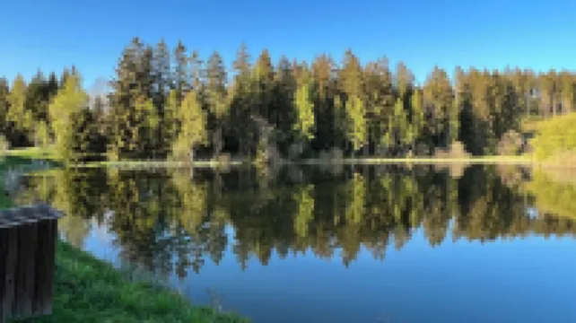 Sunny side apartment - central, flooded with light, quiet location, carport