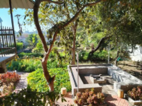 Experience Nature’s Charm: Unique Treehouse Stay by a Scenic Lake!