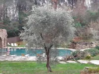 Gite 6 Chambres à Serrazzano