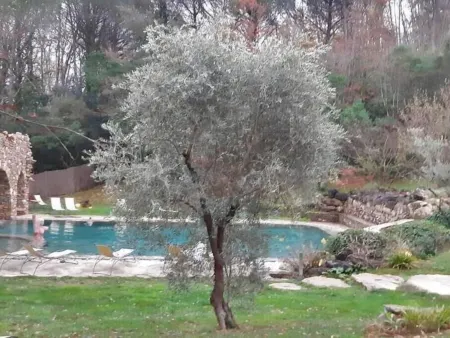 Gite 6 Chambres à Serrazzano