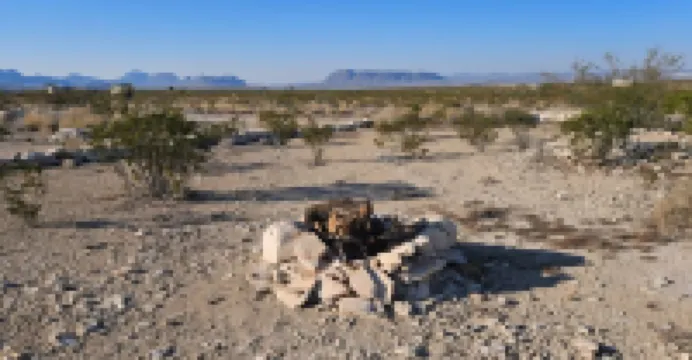 Jackass Flats Greasewood Grocery Cabin
